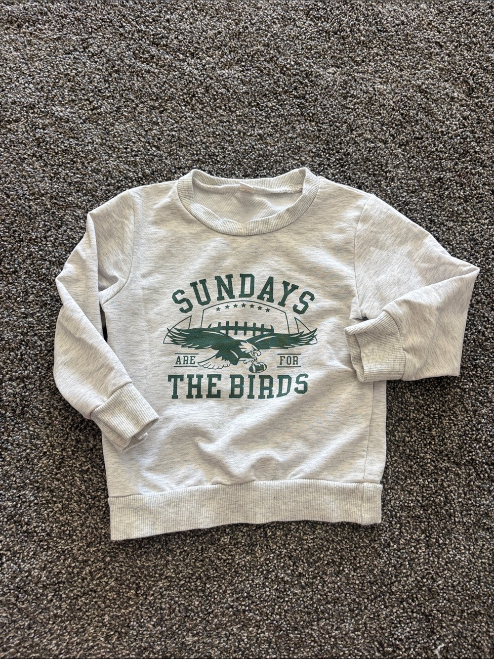 2T Philadelphia Eagles sweatshirt